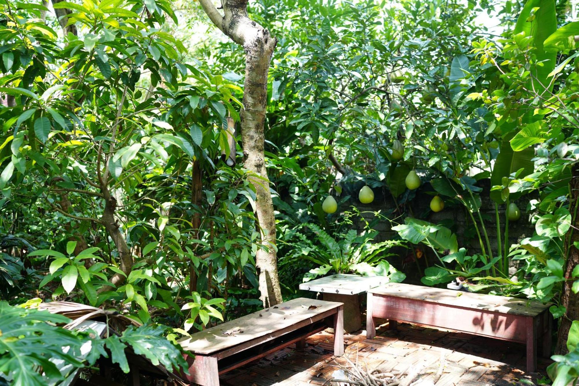 Nha Lua Homestay นิญบิ่ญ ภายนอก รูปภาพ