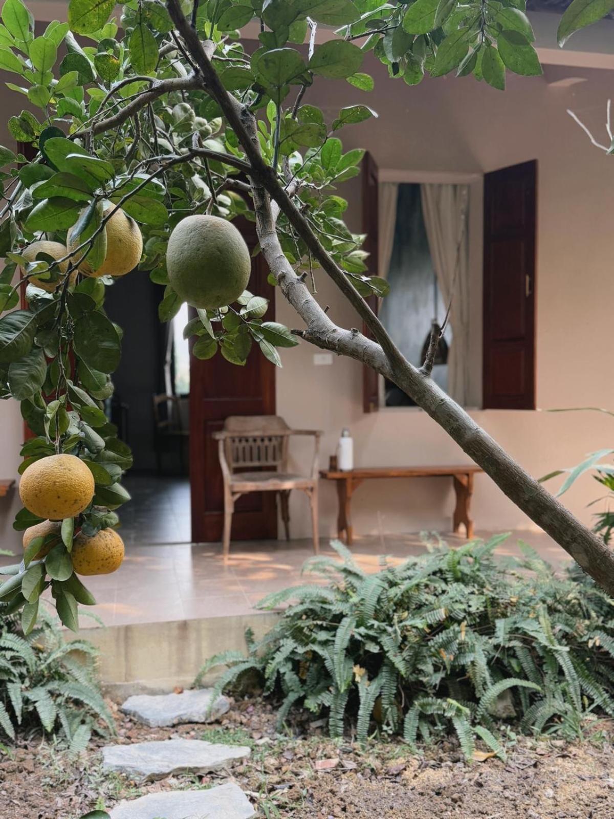 Nha Lua Homestay นิญบิ่ญ ภายนอก รูปภาพ